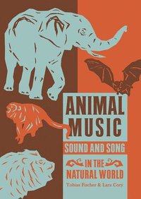 bokomslag Animal Music