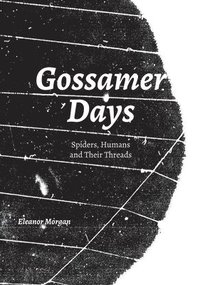 bokomslag Gossamer Days