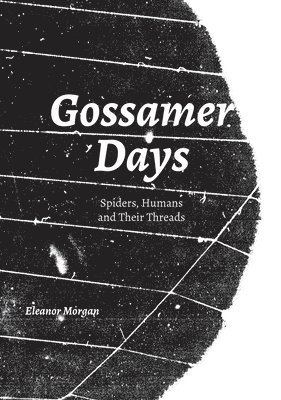 Gossamer Days 1