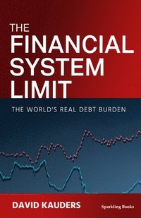 bokomslag The Financial System Limit