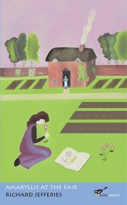 Amaryllis at the Fair