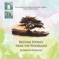 bokomslag Bedtime Stories from the Woodland