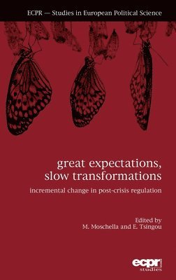 Eleni Tsingou, Manuela Moschella - Great Expectations, Slow Transformations, Inbunden