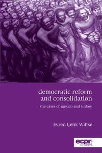 bokomslag Democratic Reform and Consolidation