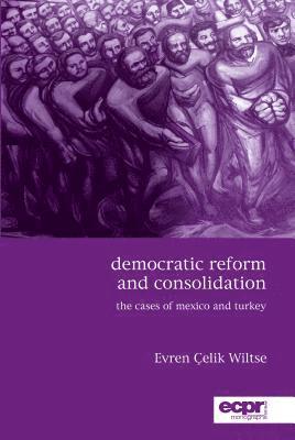 bokomslag Democratic Reform and Consolidation