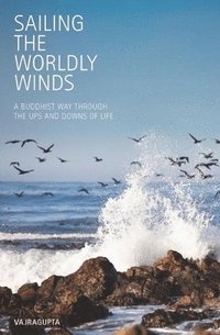 bokomslag Sailing the Worldly Winds