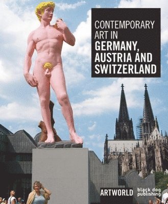 Phoebe Adler, Leanne Hayman - Contemporary Art in Germany, Austria and Switzerland: Artworld, Häftad