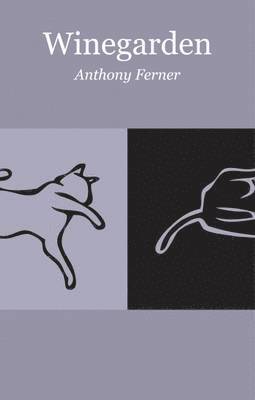 Anthony Ferner - Winegarden, Häftad