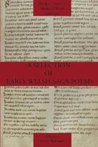 bokomslag Selection of Early Welsh Saga Poems