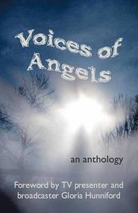bokomslag Voices of Angels