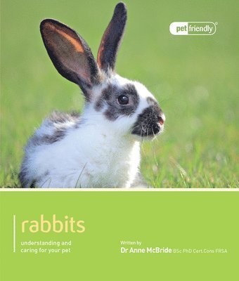 Anne Mcbride - Rabbit - Pet Friendly, Häftad