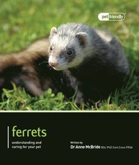 bokomslag Ferrets - Pet Friendly