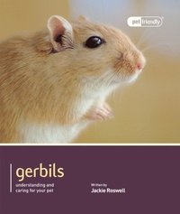 bokomslag Gerbils - Pet Friendly