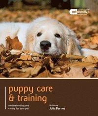 bokomslag Puppy Training & Care - Pet Friendly