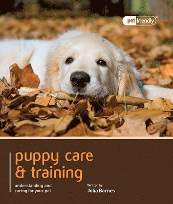 Julie Barnes - Puppy Training & Care - Pet Friendly, Häftad