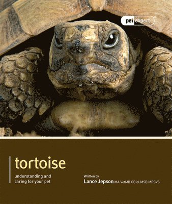 Lance Jepson - Tortoise - Pet Expert, Häftad