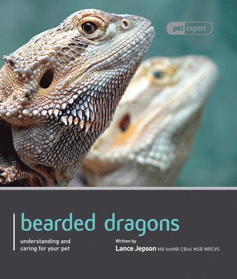 bokomslag Bearded Dragon - Pet Expert