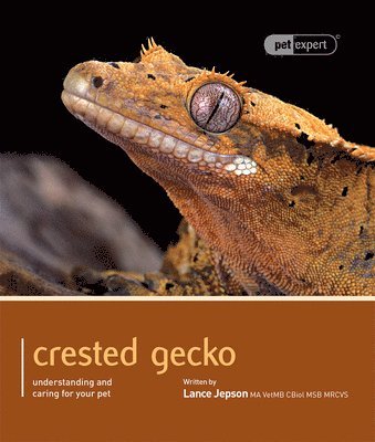 Lance Jepson - Crested Gecko - Pet Expert, Häftad