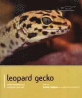 bokomslag Leopard Gecko - Pet Expert