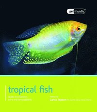 bokomslag Tropical Fish - Pet Friendly