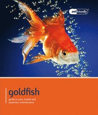 bokomslag Goldfish - Pet Friendly