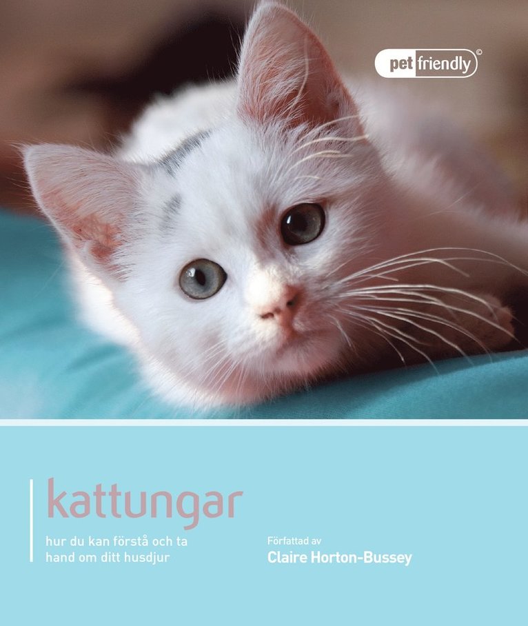 Kattungar : hur du kan förstå och ta hand om ditt husdjur