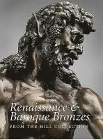 bokomslag Renaissance and Baroque Bronzes from the Hill Collection