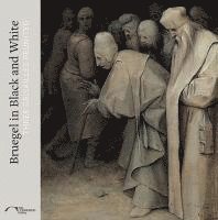 Karen Serres - Bruegel in Black and White, Häftad