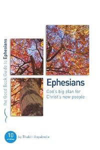 bokomslag Ephesians: God's Big Plan for Christ's New People