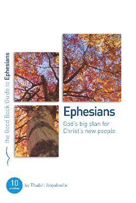 bokomslag Ephesians: God's Big Plan for Christ's New People