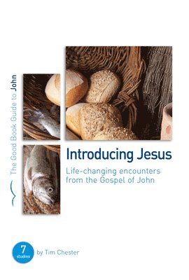 John: Introducing Jesus 1