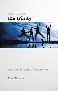 bokomslag Delighting in the Trinity