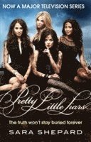 Sara Shepard - Pretty Little Liars, Häftad