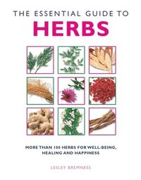 bokomslag Essential Guide to Herbs