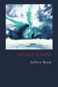 bokomslag Gospel Earth