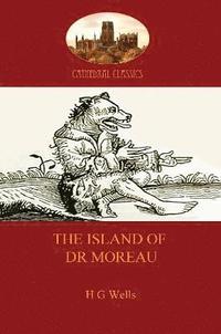 bokomslag Island of Dr Moreau
