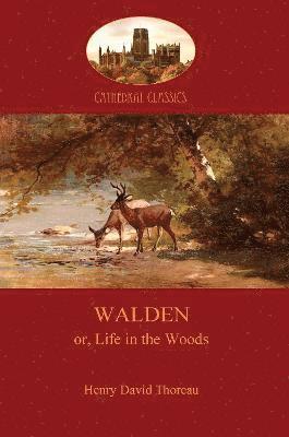 Henry Thoreau - Walden, Häftad