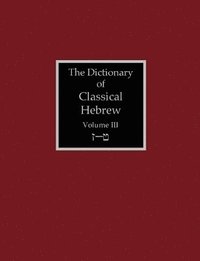 bokomslag The Dictionary of Classical Hebrew Volume 3