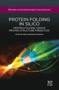 bokomslag Protein Folding in Silico