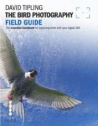 bokomslag The Bird Photography Field Guide