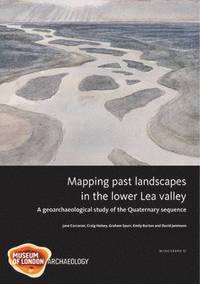 bokomslag Mapping Past Landscapes in the Lower Lea Valley