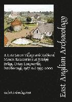 bokomslag EAA 153: A Late Saxon Village and Medieval Manor