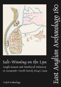 bokomslag Salt-Winning on the Lyn