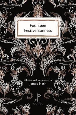 bokomslag Fourteen Festive Sonnets