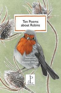 bokomslag Ten Poems about Robins