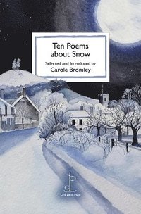 bokomslag Ten Poems about Snow