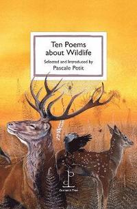 bokomslag Ten Poems about Wildlife