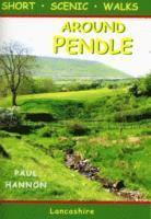 Around Pendle 1