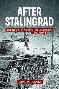 bokomslag After Stalingrad