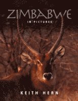 bokomslag Zimbabwe in Pictures